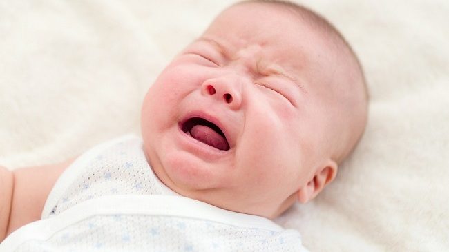Fatwa Bayi Tabung Imseminasi Buatan