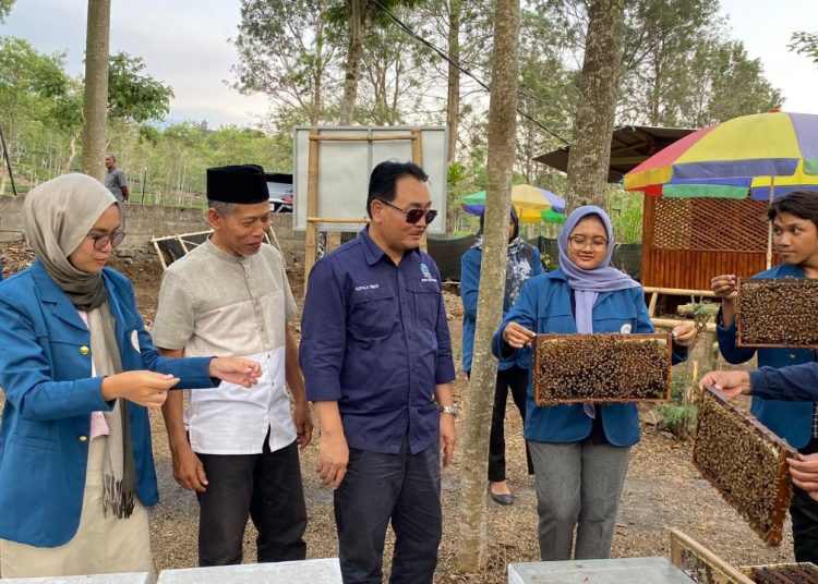 Demplot Lebah Madu Pinbas, Langkah Signifikan Kembangkan Sektor Perlebahan Berbasis Syariah