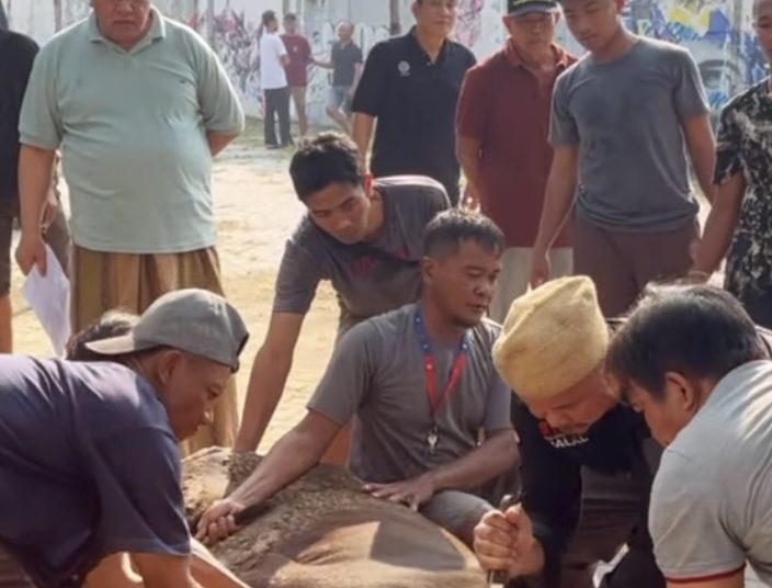 Idul Adha 1446 H, MUI Jatim Sembelih 5 Ekor Sapi