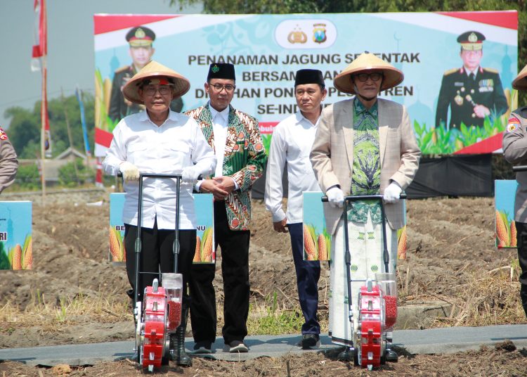 Ketua Umum MUI Jatim Hadiri Penanaman Jagung Serentak di Pesantren Tebuireng