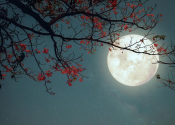 Ilustrasi. (Foto: Detik.com)